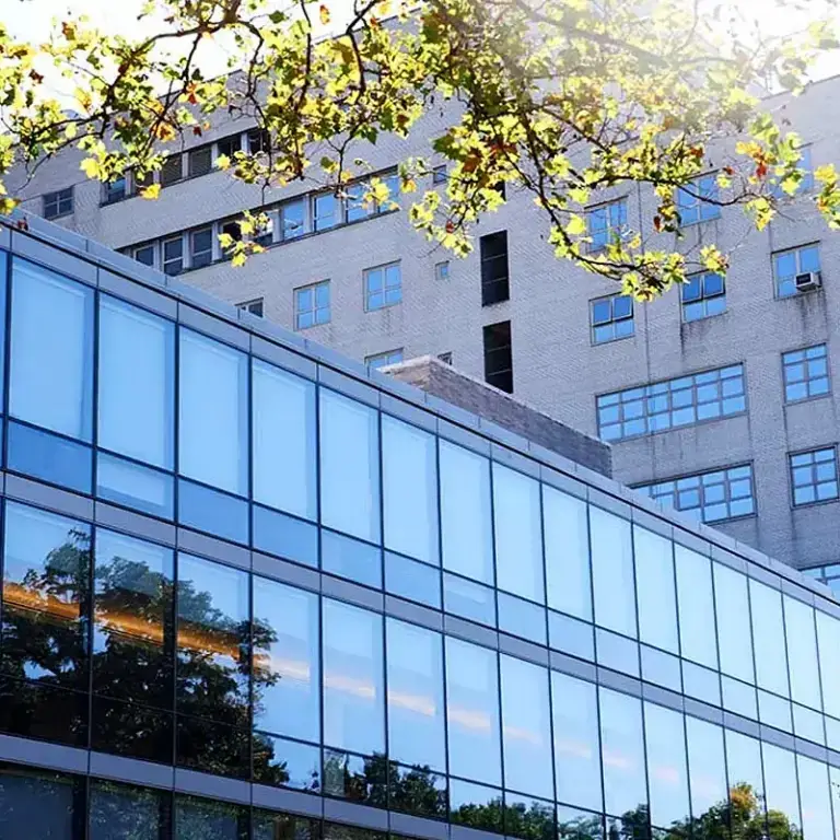 WindowFix - A modern glass building is shown in front of an older concrete structure, with tree branches and sunlight at the top of the image.