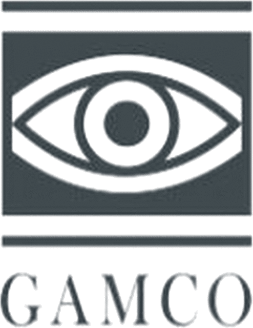 WindowFix - Black and white logo featuring a stylized eye within a rectangle above the text "GAMCO" in capital letters.
